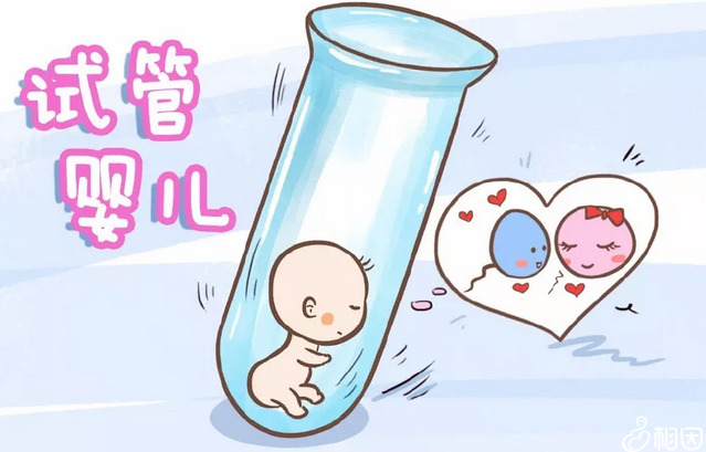 泰国试管婴儿技术概览与政策解读