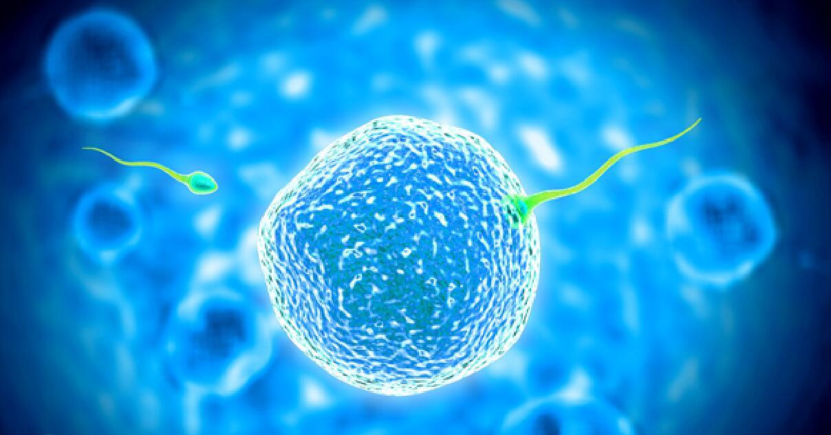 泰国试管婴儿欺诈行为分析